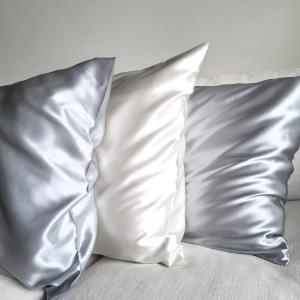 22MM 100% Pure Mulberry Silk Pillowcase with Color Box