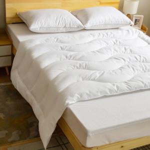 233TC Cotton Cover with 30% White Goose Down Quilted Duvet