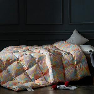 Down Proof 80s Printed Cotton Cover Filled with 95% White Goose Down Duvet