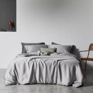 Silver Ions Fiber Infused Anti-bacterial Soft Bamboo Duvet Cover Set