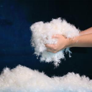 Wholesale 80% Washed White Goose Down